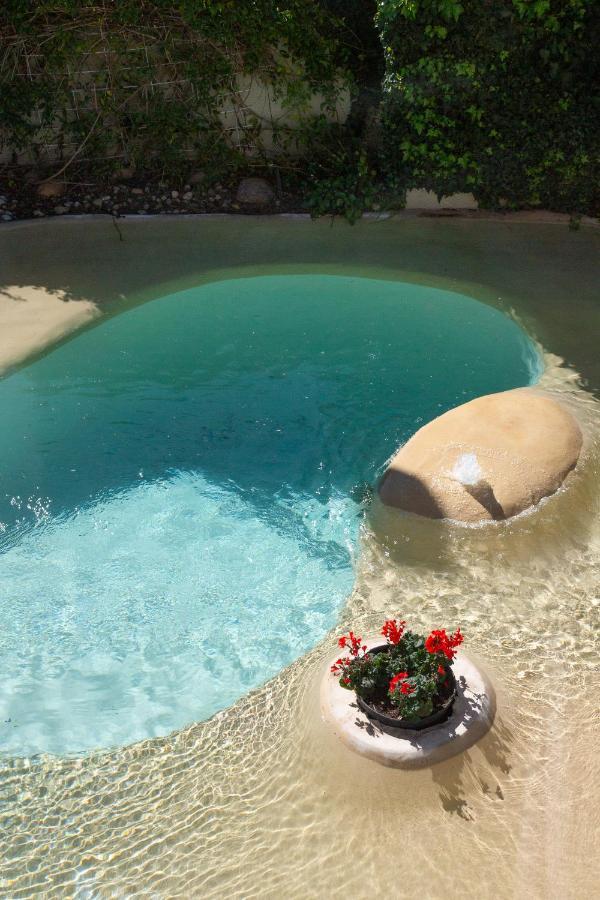 Sunflower Villa In Franschhoek Ngoại thất bức ảnh